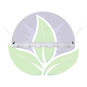 EVO 6-150 400W - Multi-bar horticultural lighting - Sanlight 2