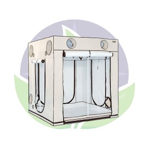 Ambient Q200+ - Chambre de culture de 200x200x220 cm -...