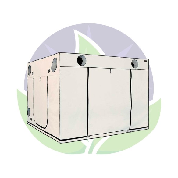 Ambient Q300+ - Grow room 300x300x220 cm - HOMEbox