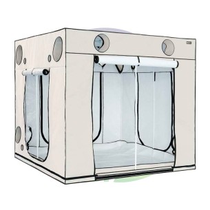 Ambient Q240+ - Chambre de culture de 240x240x220 cm -...
