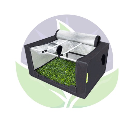 Chambre de culture 80 x 60 x 40cm- Probox Propagator M -  Garden High Pro