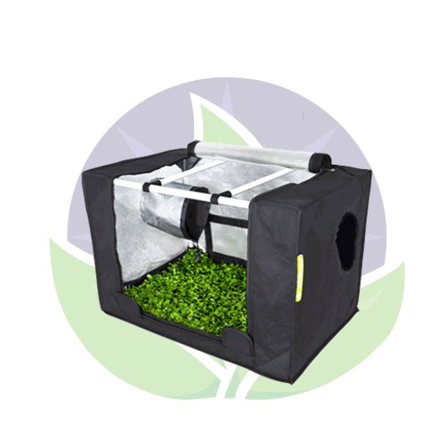 Grow room 60 x 40 x 40cm - PROBOX Propagator S - Garden HIGHPRO