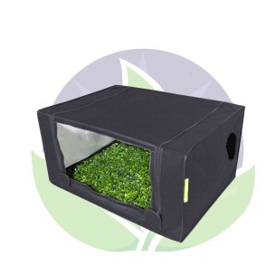 Grow room 80 x 60 x 40cm - PROBOX Propagator M - Garden... 2