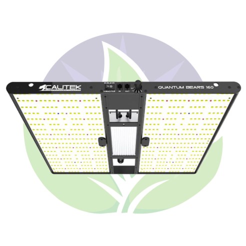 Quantum bears 160 W - Horticultural lighting Led panels - Calitek