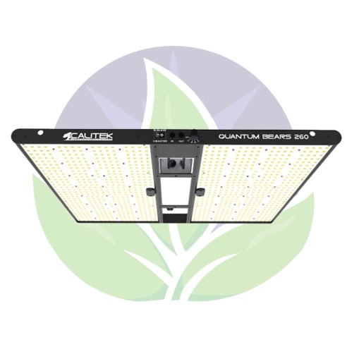 Quantum bears 260 W - Eclairage horticole panneaux Led - Calitek