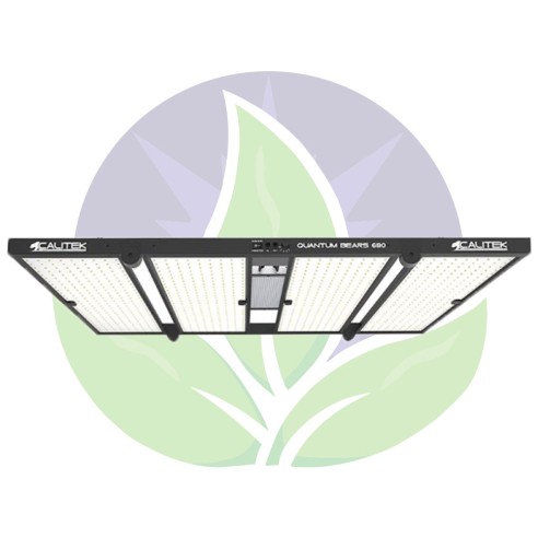 Quantum bears 680 W - Horticultural lighting Led panels - Calitek