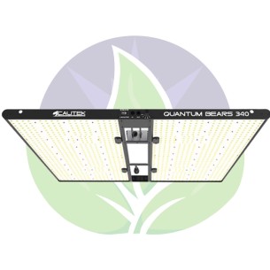 Quantum bears 340 W - Horticultural lighting Led panels -...