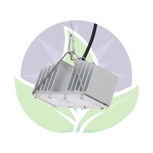 Q1W EU - Dimmable - 50W - Garden lighting - Sanlight