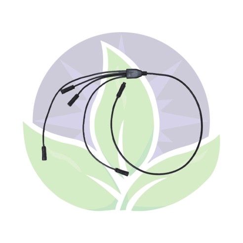 Câble 4 voies en Y  WDC19 - Flex II - Sanlight