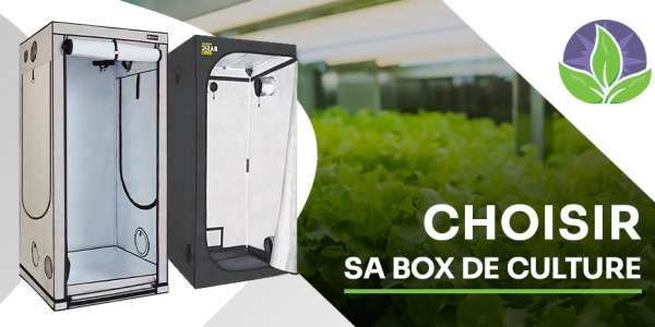 Comment choisir une box de culture adapté à nos besoins ?
