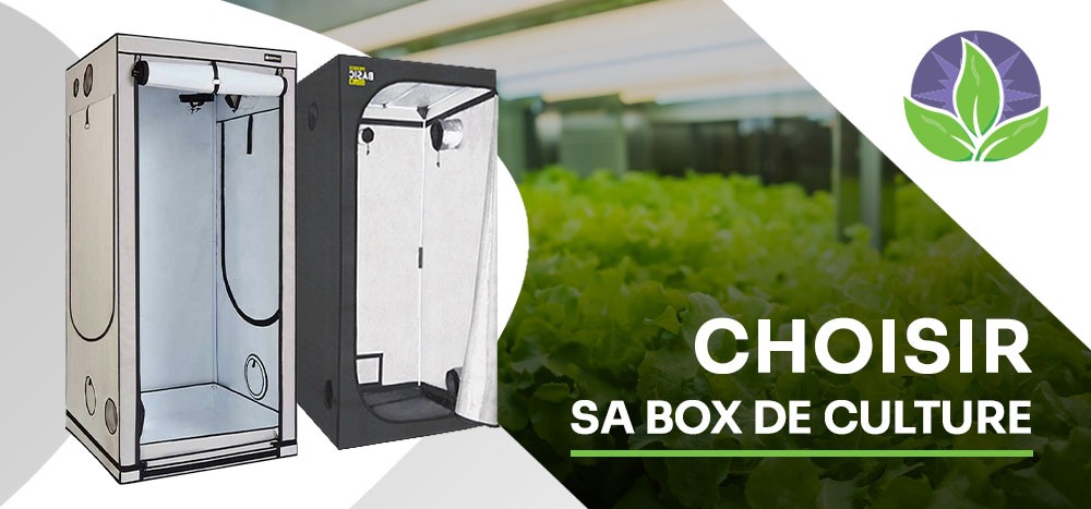 Comment choisir une box de culture adapté à nos besoins ?
